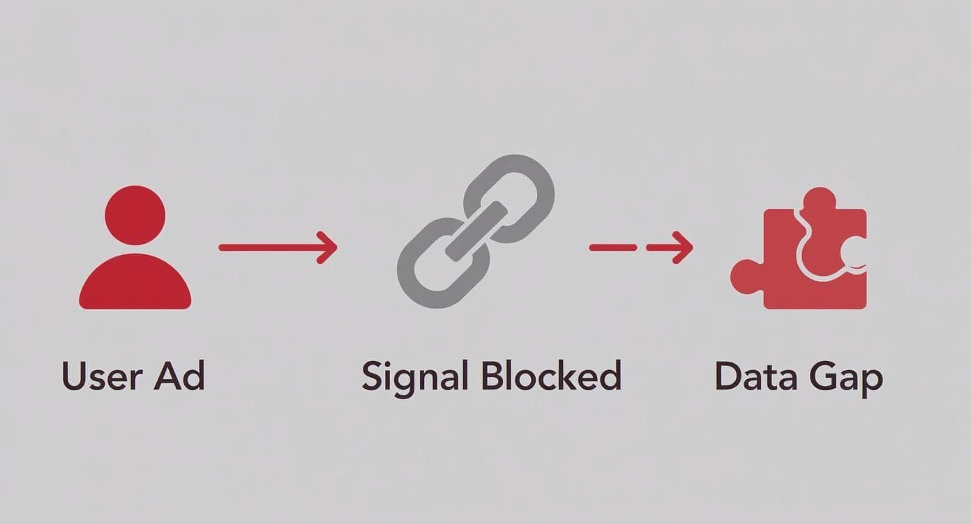 Isa Capi What Is CAPI and Why It Matters for Tracking Your Ads